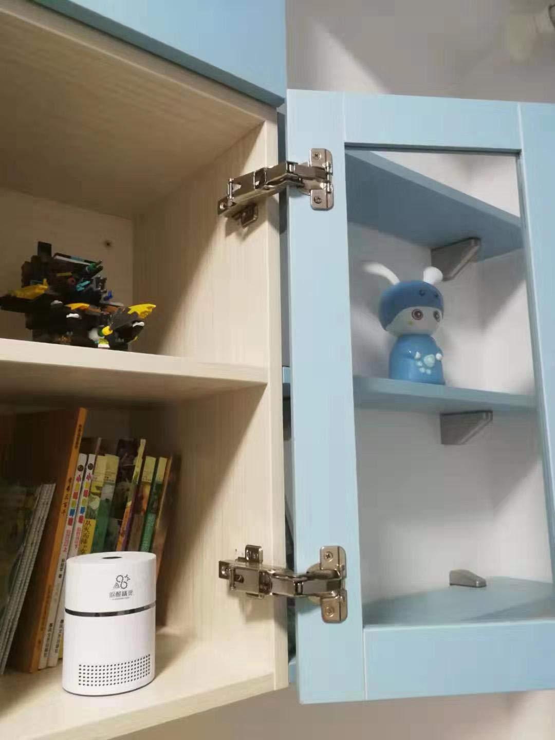 TamBee Lazy Susan Hinges 175 Hinges for Cabinets Frameless - TamBee